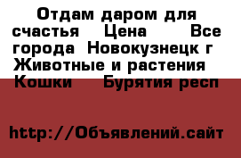 Отдам даром для счастья. › Цена ­ 1 - Все города, Новокузнецк г. Животные и растения » Кошки   . Бурятия респ.